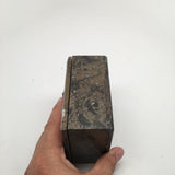 560g Square Shape Orthoceras Fossil Ammonite Brown Jewelry Box @Morocco, FJ54