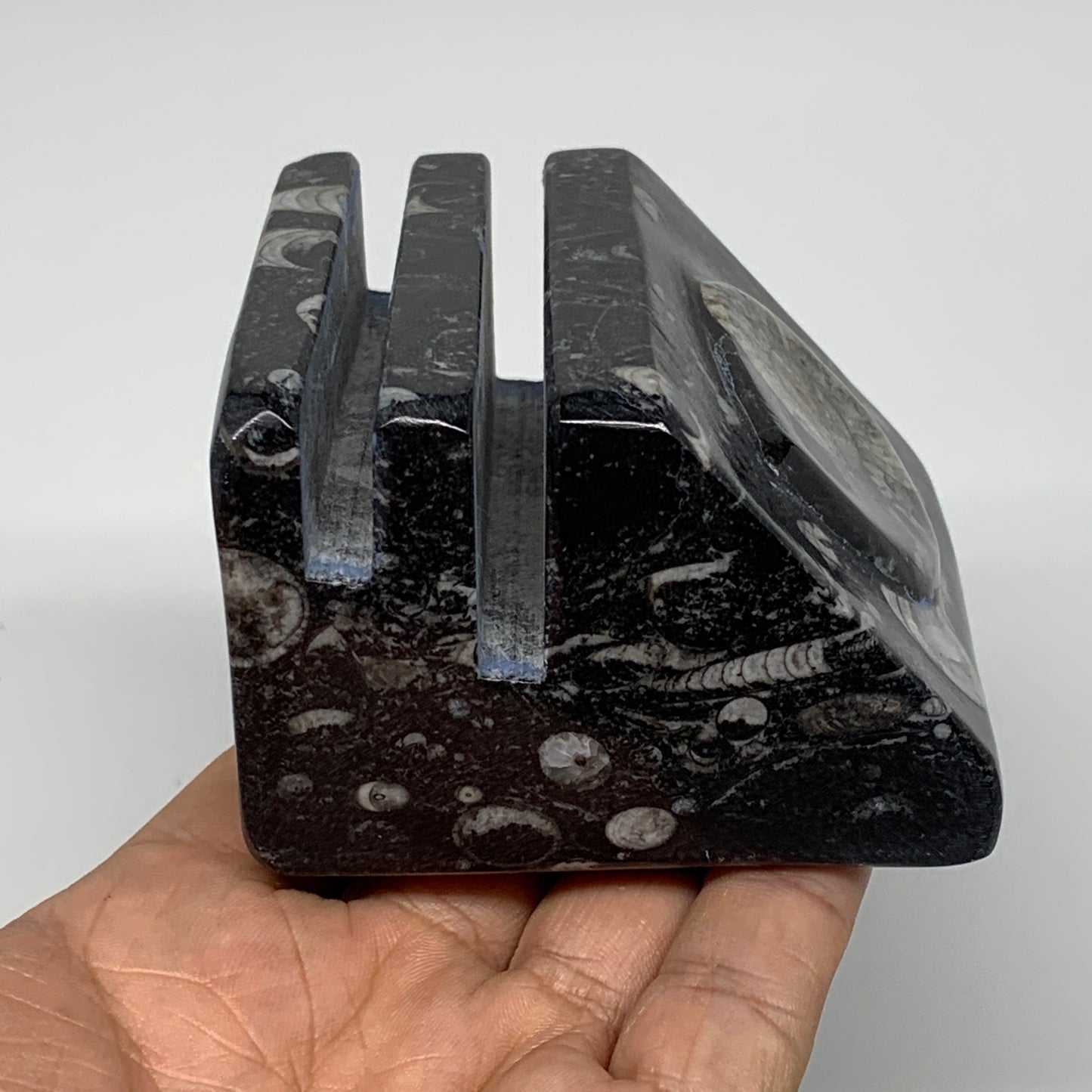 502g, 2.8" x 2.9" x 1.9" Black Fossils Orthoceras Ammonite Business Card Holder,