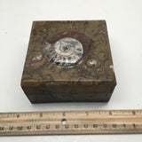 560g Square Shape Orthoceras Fossil Ammonite Brown Jewelry Box @Morocco, FJ54 - watangem.com