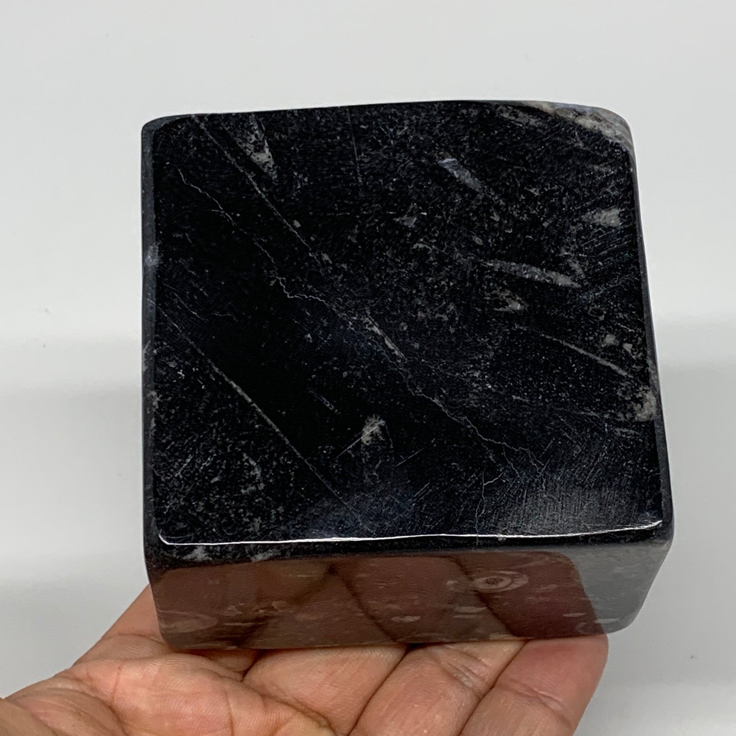 502g, 2.8" x 2.9" x 1.9" Black Fossils Orthoceras Ammonite Business Card Holder,