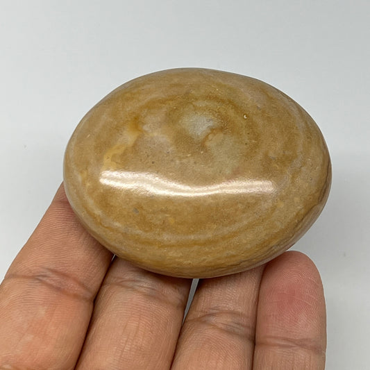 76.3g, 2.2"x1.8"x0.8" Picture Jasper Palm-Stone Gemstone Home Decor, B20282