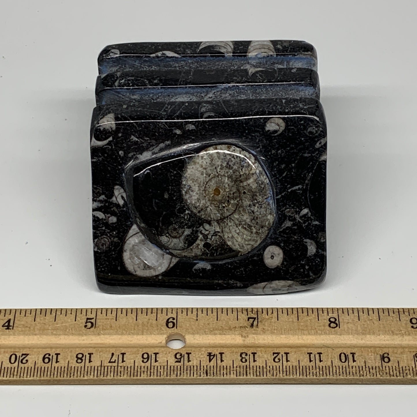 502g, 2.8" x 2.9" x 1.9" Black Fossils Orthoceras Ammonite Business Card Holder,