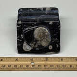 502g, 2.8" x 2.9" x 1.9" Black Fossils Orthoceras Ammonite Business Card Holder,