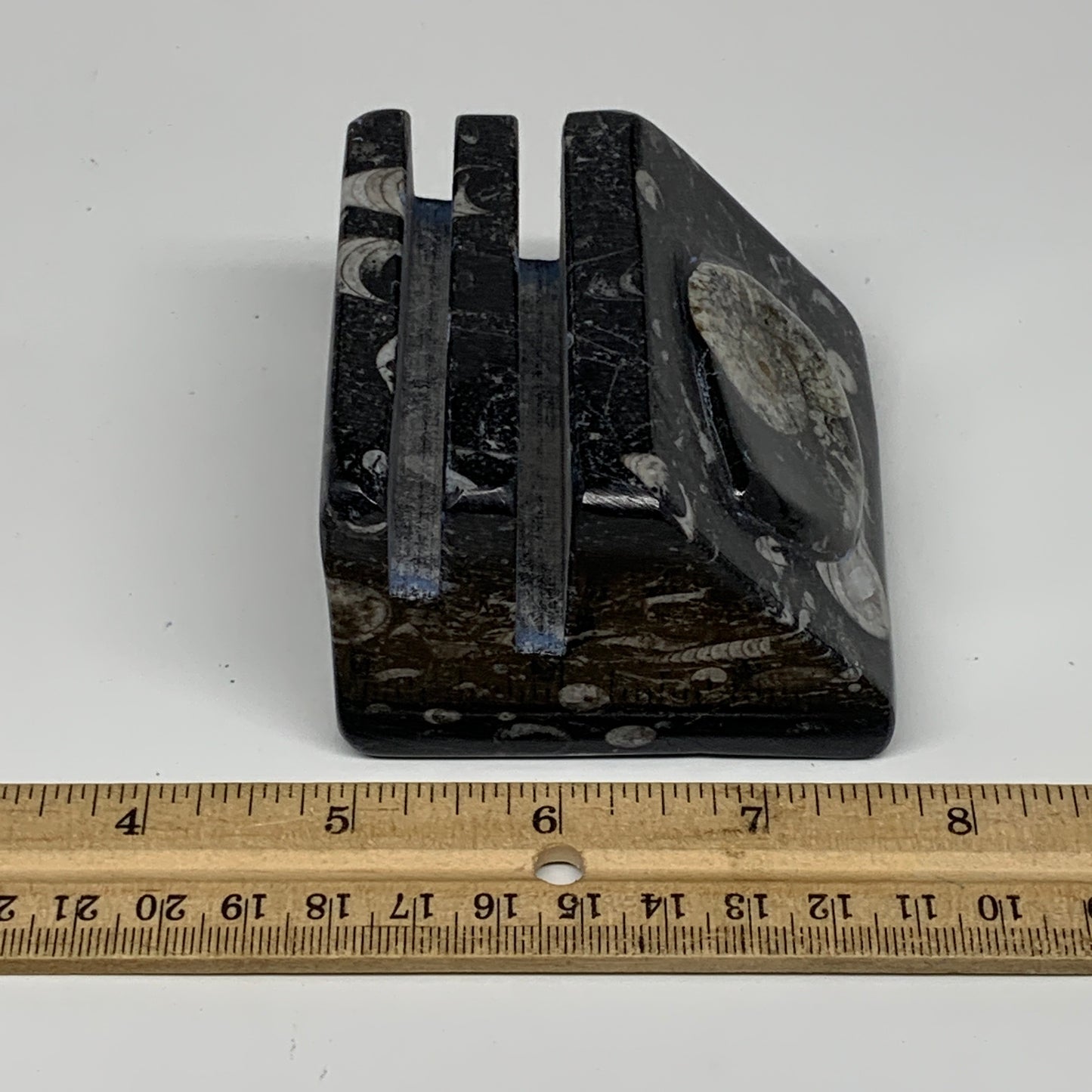 502g, 2.8" x 2.9" x 1.9" Black Fossils Orthoceras Ammonite Business Card Holder,