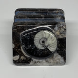 498g, 2.8" x 3" x 1.9" Black Fossils Orthoceras Ammonite Business Card Holder,B8