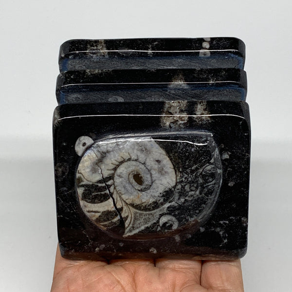 502g, 2.8" x 2.9" x 2" Black Fossils Orthoceras Ammonite Business Card Holder,B8