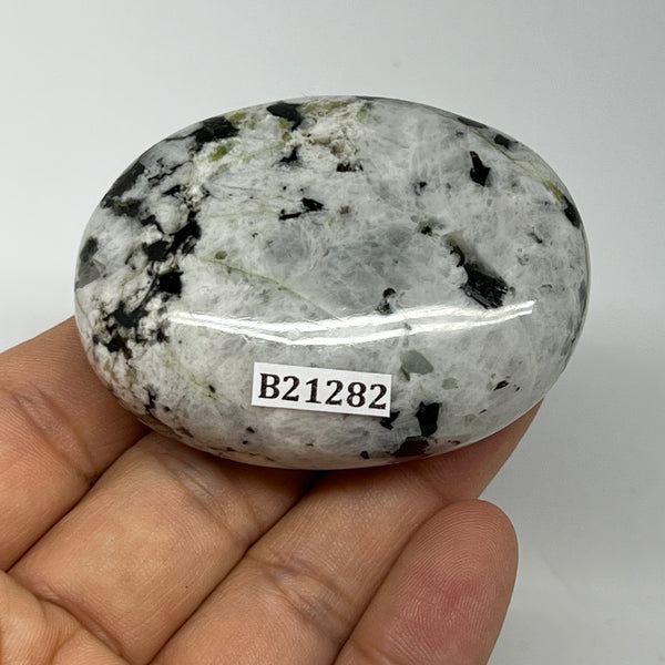 102.4g,2.3"x1.7"x1", Rainbow Moonstone Palm-Stone Polished from India, B21282