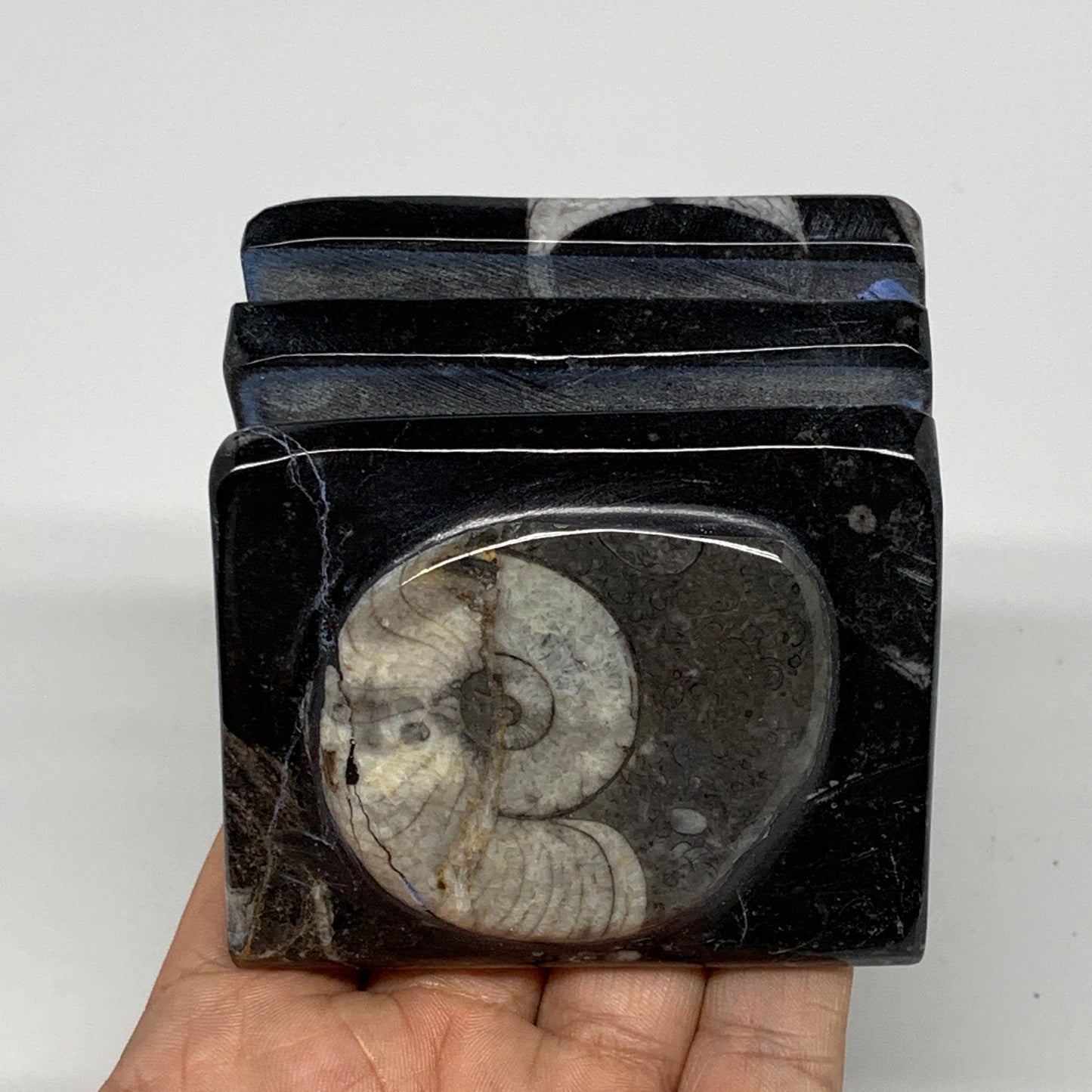 454g, 2.6" x 2.9" x 2" Black Fossils Orthoceras Ammonite Business Card Holder,B8