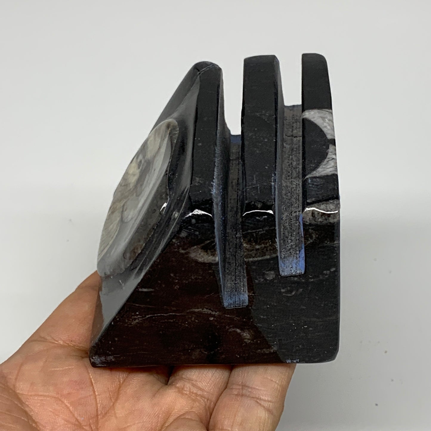 454g, 2.6" x 2.9" x 2" Black Fossils Orthoceras Ammonite Business Card Holder,B8