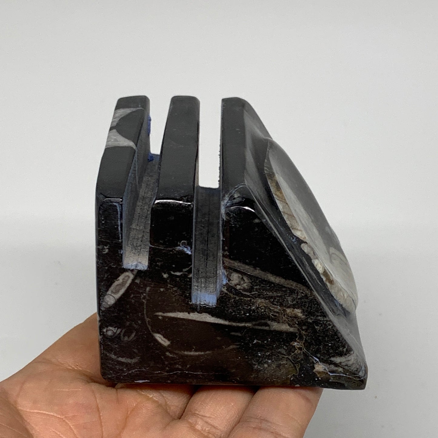 454g, 2.6" x 2.9" x 2" Black Fossils Orthoceras Ammonite Business Card Holder,B8