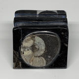 454g, 2.6" x 2.9" x 2" Black Fossils Orthoceras Ammonite Business Card Holder,B8