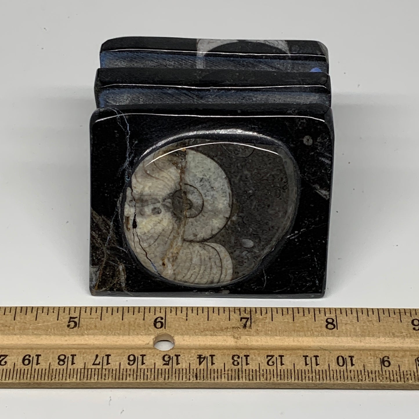 454g, 2.6" x 2.9" x 2" Black Fossils Orthoceras Ammonite Business Card Holder,B8