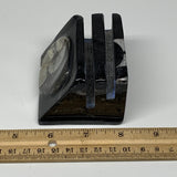 454g, 2.6" x 2.9" x 2" Black Fossils Orthoceras Ammonite Business Card Holder,B8