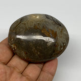 117.3g,2.6"x2.1"x 1", Coral Fossils Palm-Stone Polished from Morocco, B20367