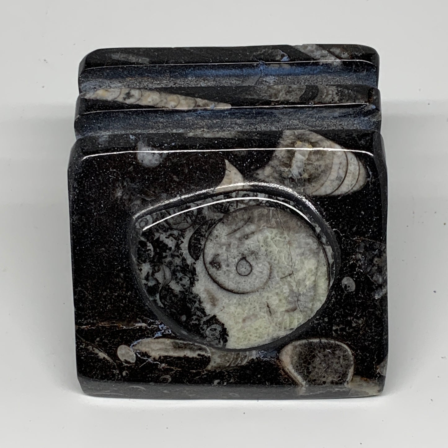 488g, 2.9" x 2.9" x 1.9" Black Fossils Orthoceras Ammonite Business Card Holder,