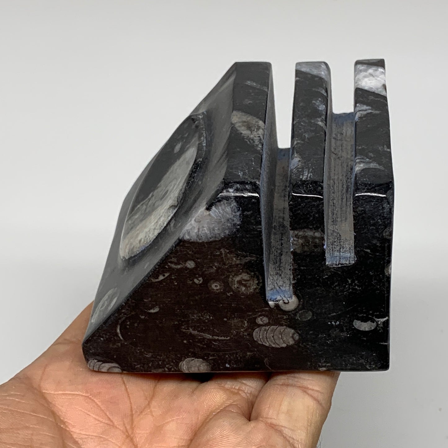 506g, 2.8" x 2.9" x 1.9" Black Fossils Orthoceras Ammonite Business Card Holder,