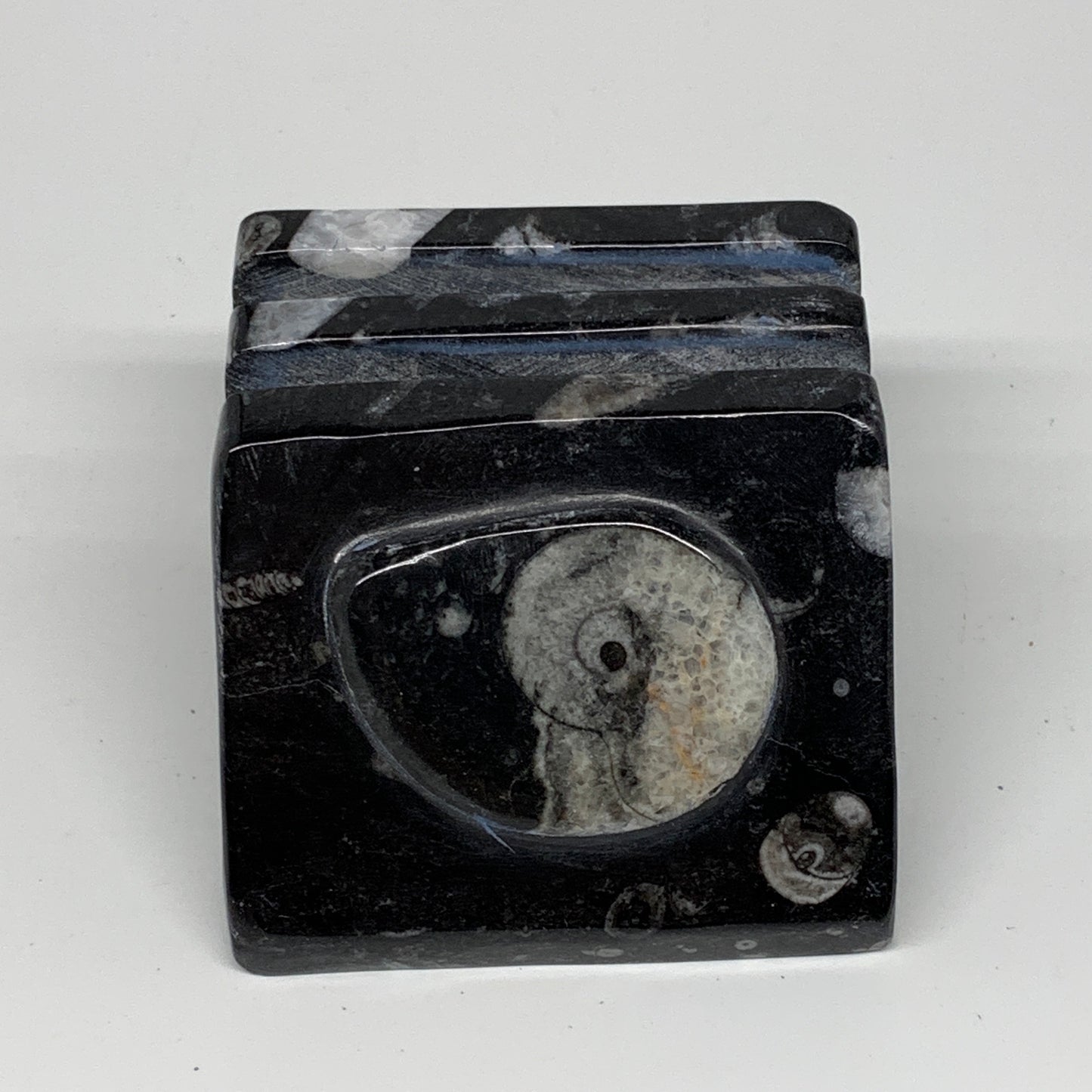 506g, 2.8" x 2.9" x 1.9" Black Fossils Orthoceras Ammonite Business Card Holder,