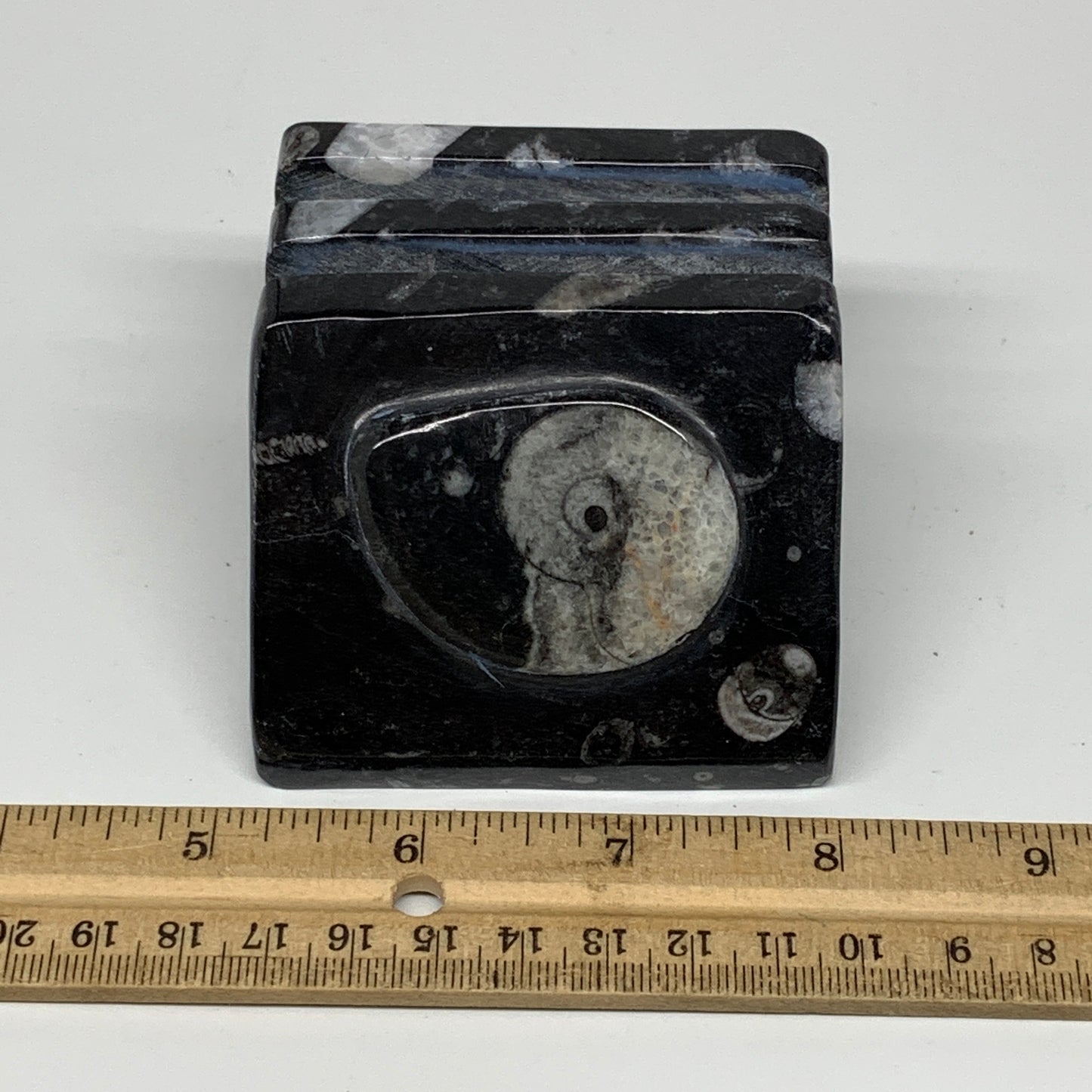 506g, 2.8" x 2.9" x 1.9" Black Fossils Orthoceras Ammonite Business Card Holder,