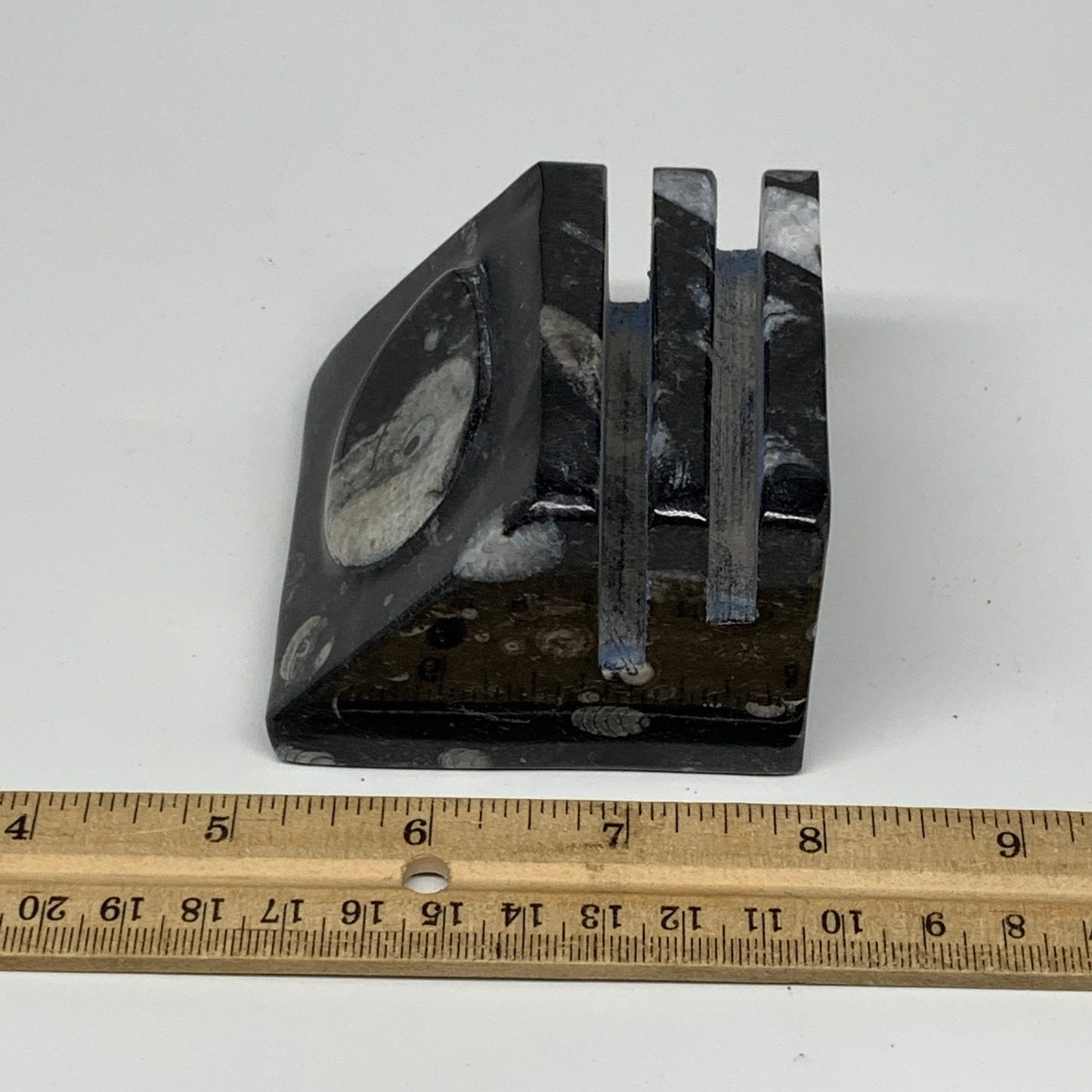 506g, 2.8" x 2.9" x 1.9" Black Fossils Orthoceras Ammonite Business Card Holder,