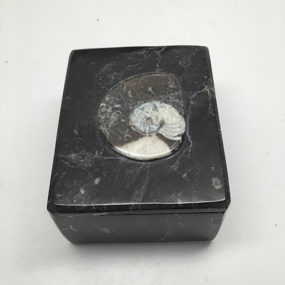 516g Rectangle Shape Orthoceras Fossil Ammonite Black Jewelry Box @Morocco, FJ68 - watangem.com