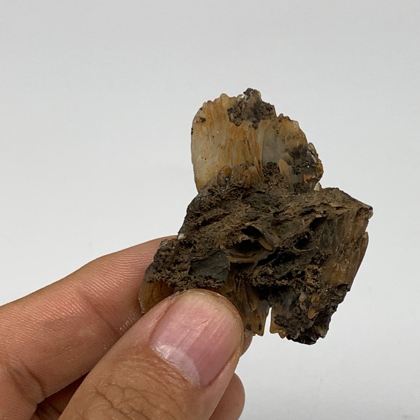 36.6g, 2"x1.4"x1.2", Natural Blue Barite Mineral Specimen @Morocco, B10764