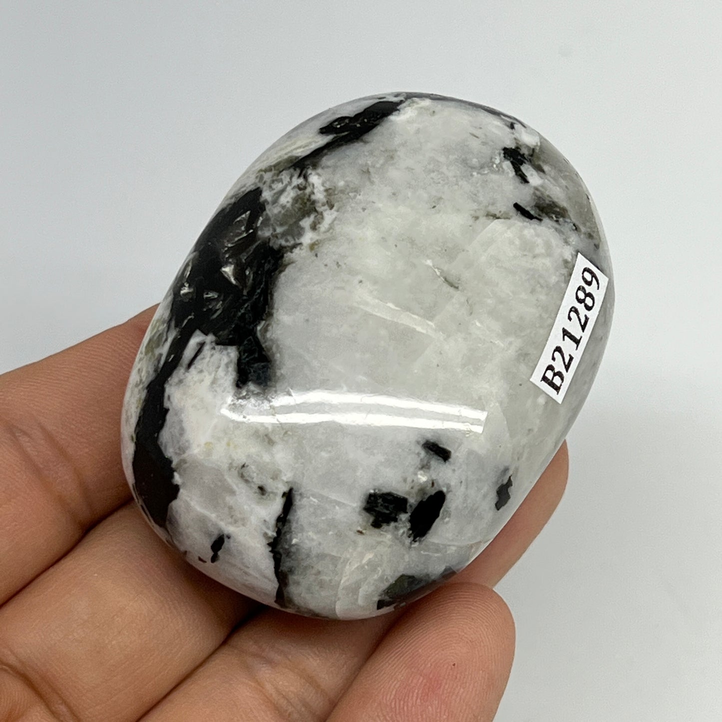 108g,2.3"x1.7"x1.1", Rainbow Moonstone Palm-Stone Polished from India, B21289
