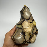 1215g,6.7"x4.2"x2.9" Natural Septarian Flame Crystal Gemstones @Madagascar,B1950