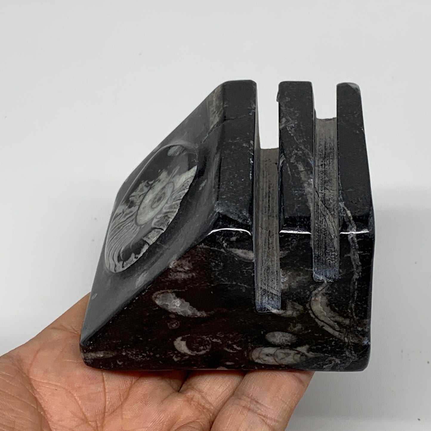 476g, 2.9" x 2.9" x 1.8" Black Fossils Orthoceras Ammonite Business Card Holder,