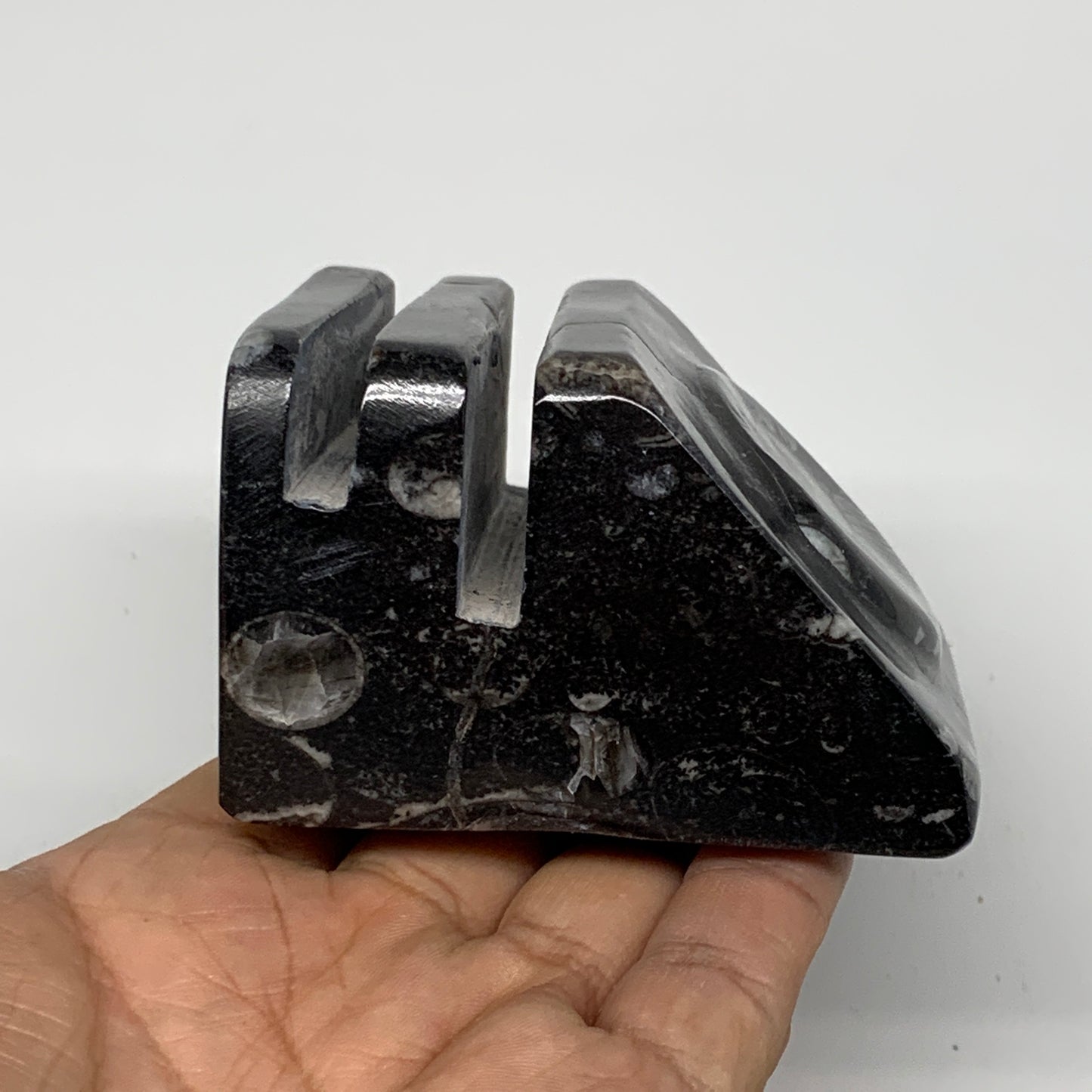 476g, 2.9" x 2.9" x 1.8" Black Fossils Orthoceras Ammonite Business Card Holder,