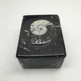 502g Rectangle Shape Orthoceras Fossil Ammonite Black Jewelry Box @Morocco, FJ72 - watangem.com