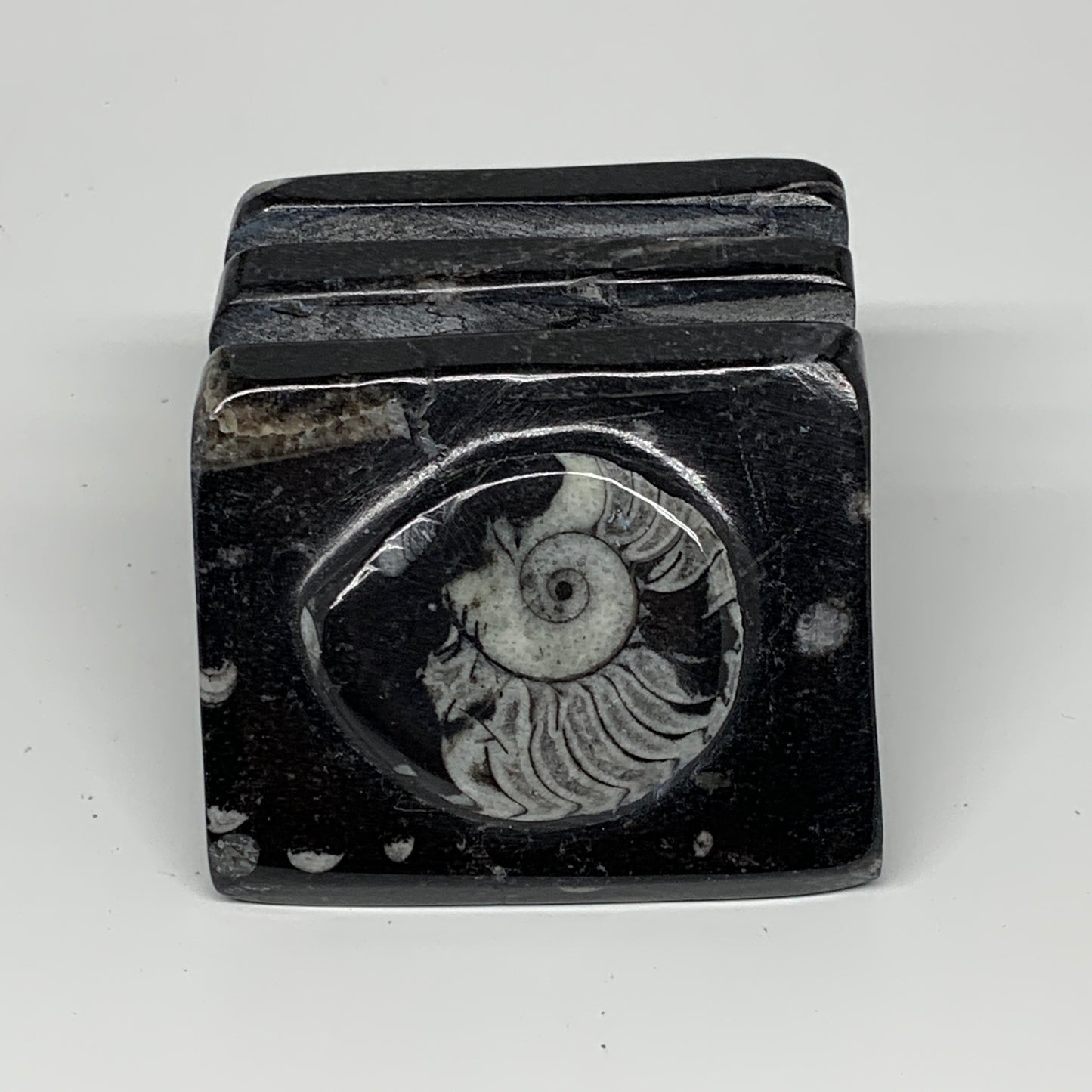 476g, 2.9" x 2.9" x 1.8" Black Fossils Orthoceras Ammonite Business Card Holder,