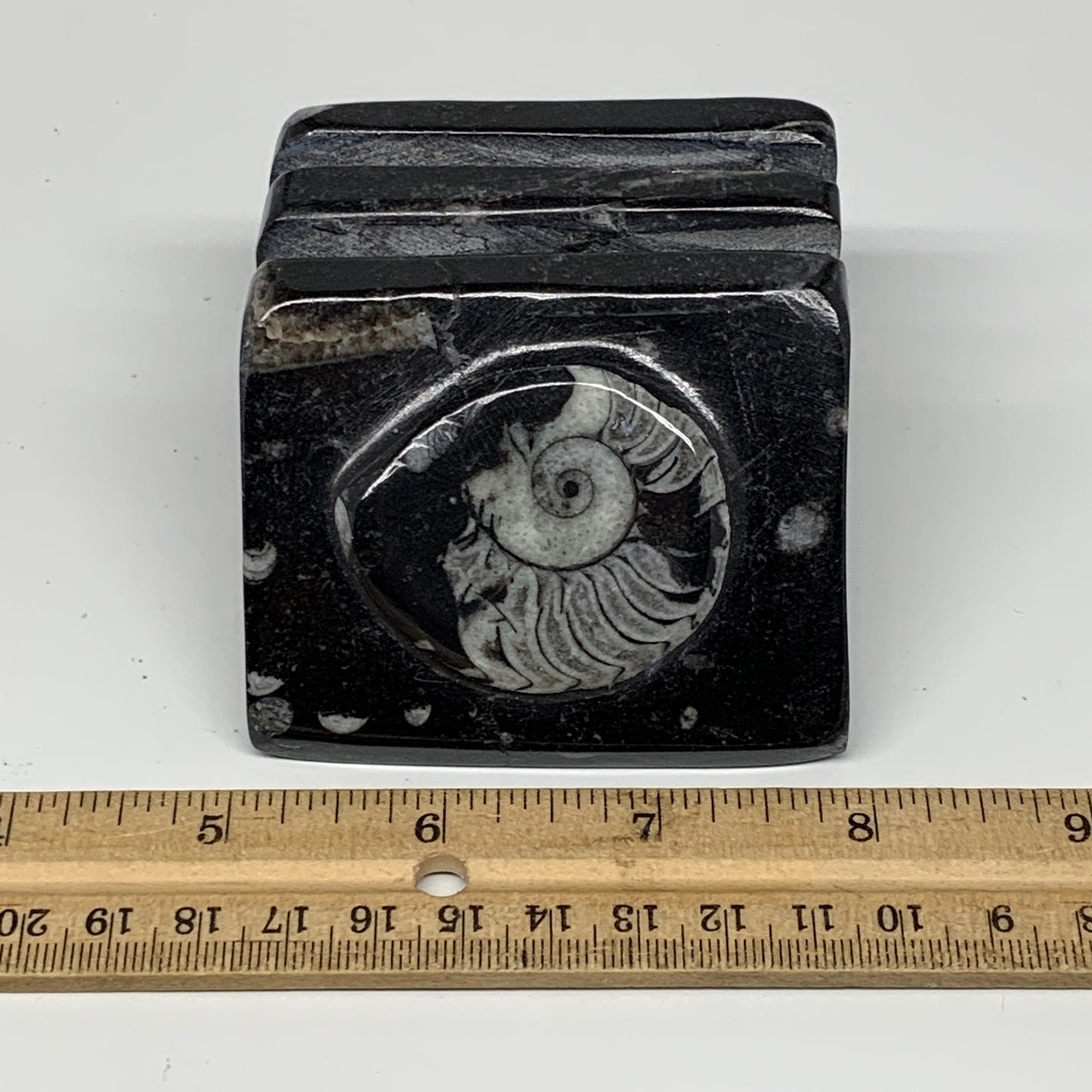 476g, 2.9" x 2.9" x 1.8" Black Fossils Orthoceras Ammonite Business Card Holder,