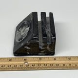 476g, 2.9" x 2.9" x 1.8" Black Fossils Orthoceras Ammonite Business Card Holder,