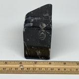 476g, 2.9" x 2.9" x 1.8" Black Fossils Orthoceras Ammonite Business Card Holder,