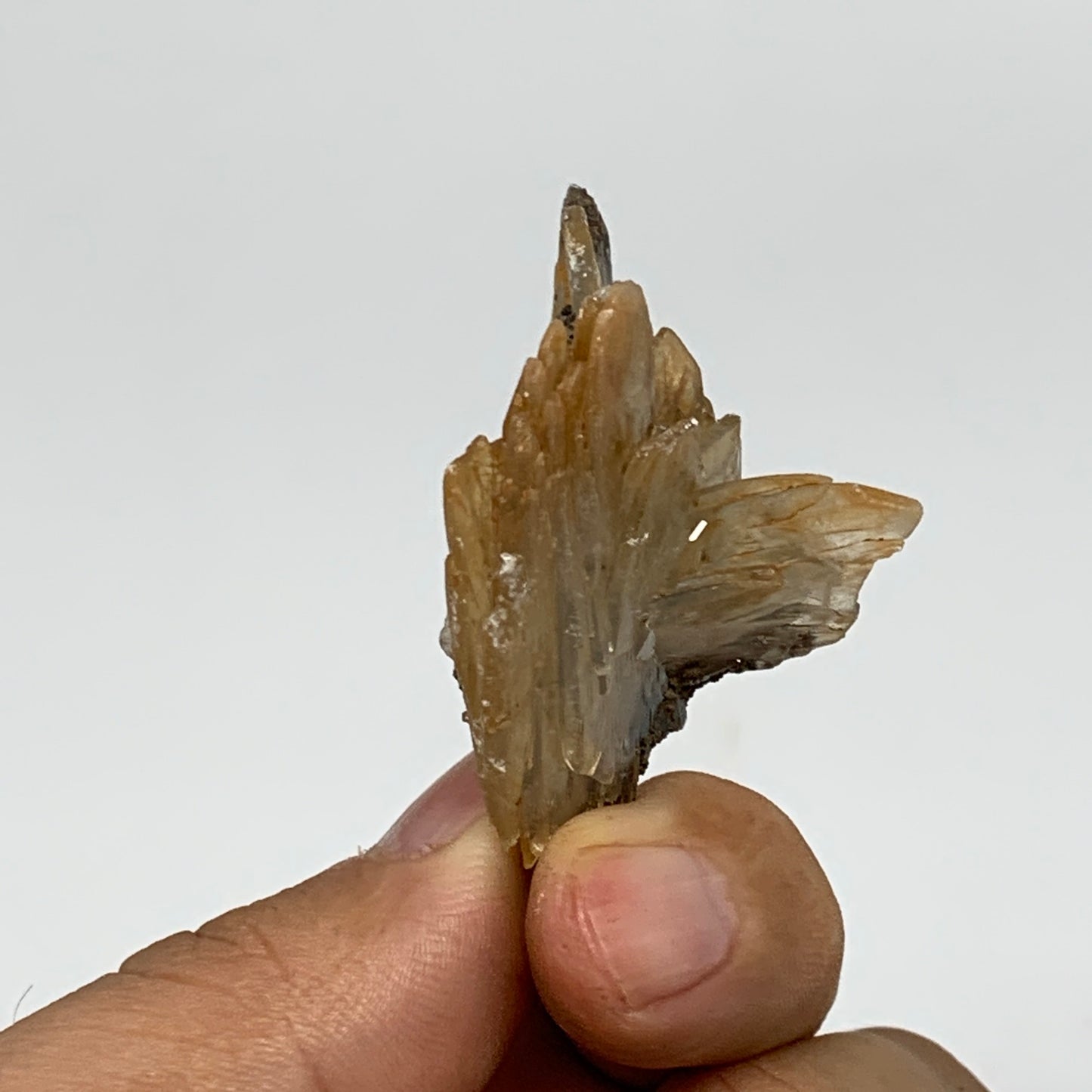 21.3g, 1.7"x1.1"x1", Small Blue Barite Mineral Specimen @Morocco, B10768