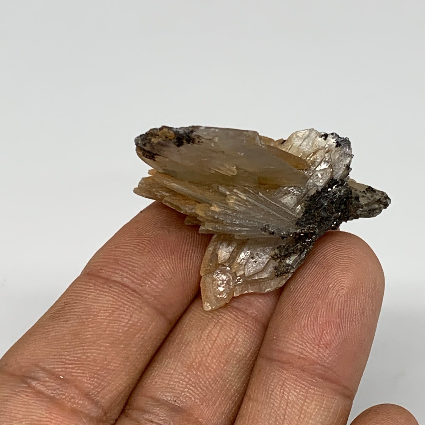 21.3g, 1.7"x1.1"x1", Small Blue Barite Mineral Specimen @Morocco, B10768