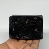 506g, 2.9" x 2.8" x 1.9" Black Fossils Orthoceras Ammonite Business Card Holder,