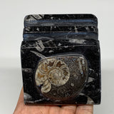 460g, 2.8" x 2.8" x 1.9" Black Fossils Orthoceras Ammonite Business Card Holder,