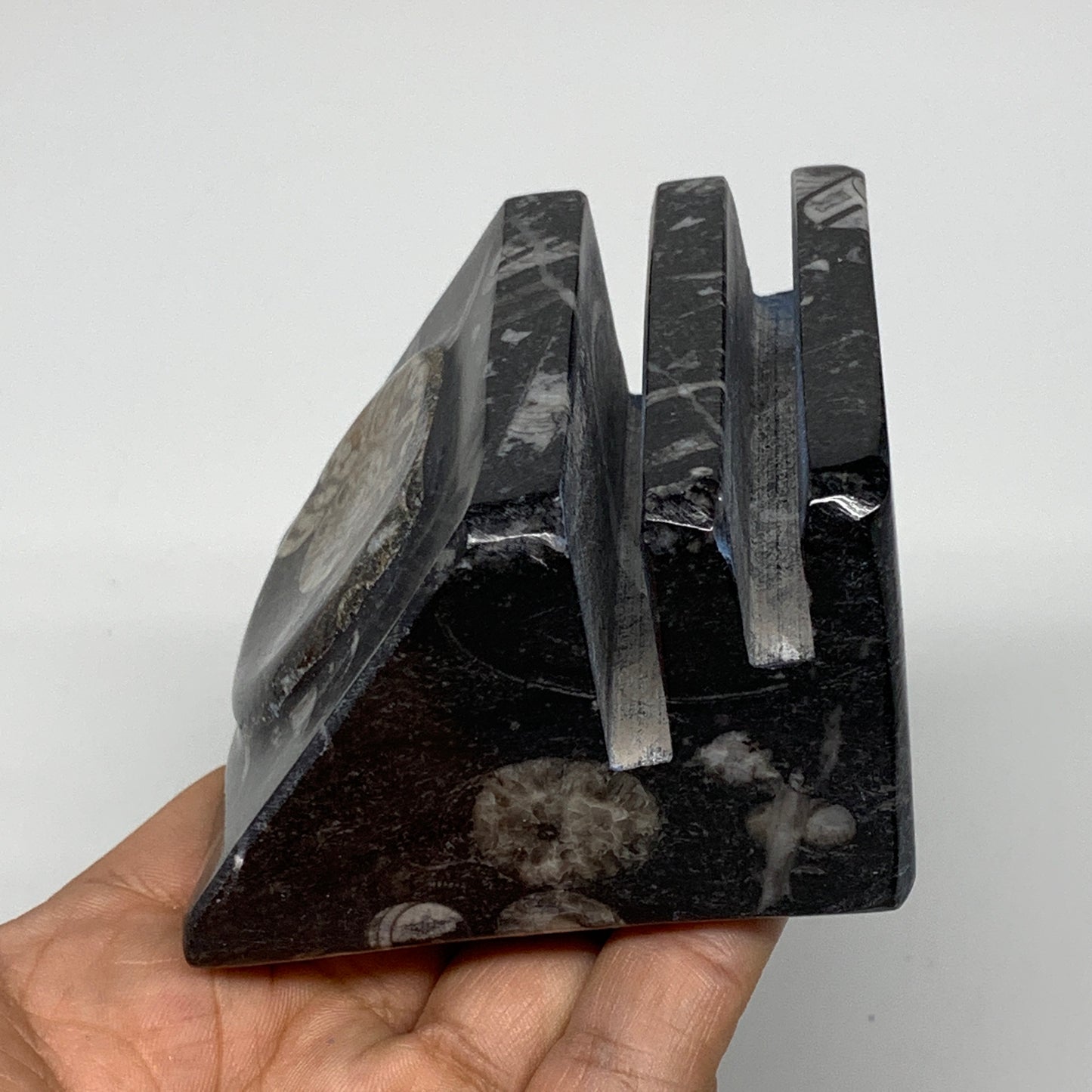 460g, 2.8" x 2.8" x 1.9" Black Fossils Orthoceras Ammonite Business Card Holder,