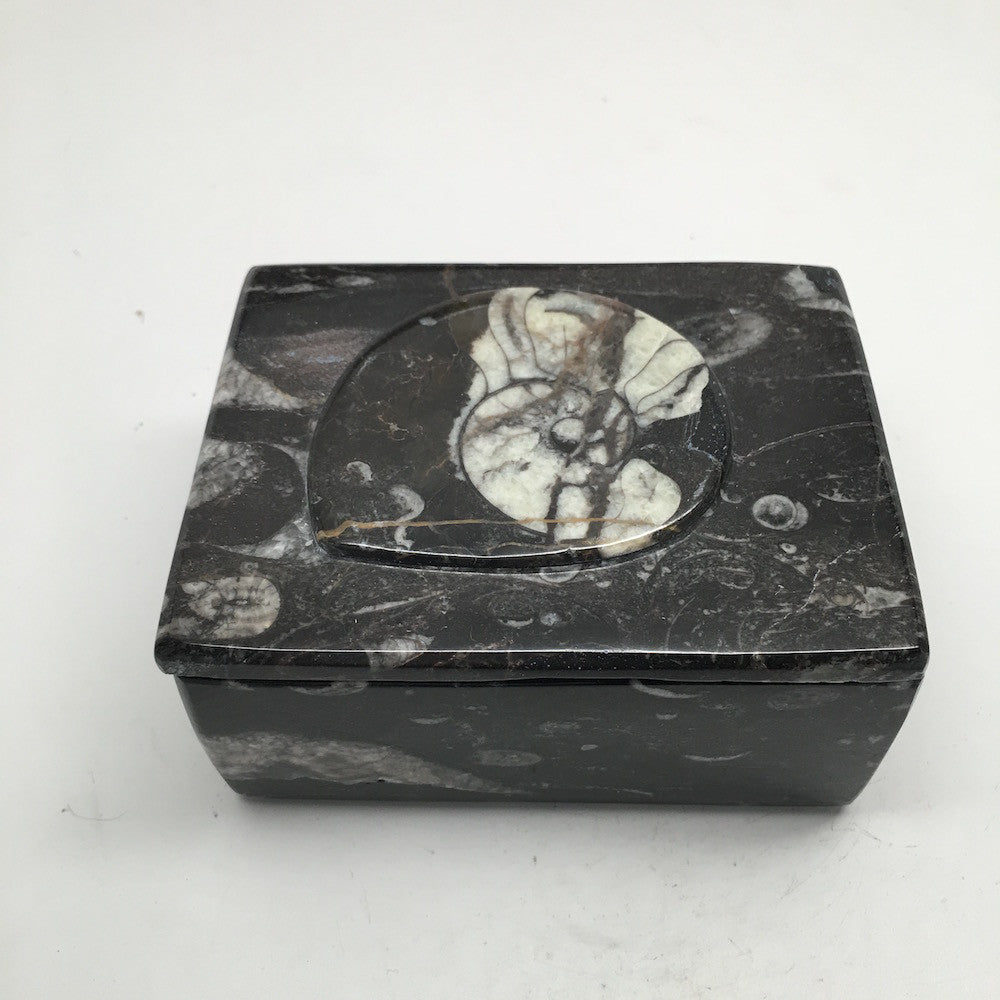 508g Rectangle Shape Orthoceras Fossil Ammonite Black Jewelry Box @Morocco, FJ75 - watangem.com