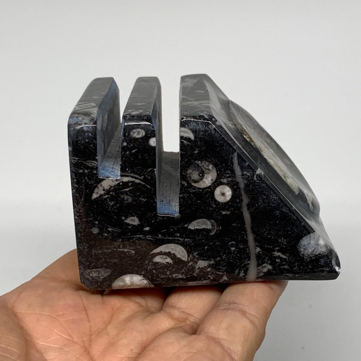 460g, 2.8" x 2.8" x 1.9" Black Fossils Orthoceras Ammonite Business Card Holder,