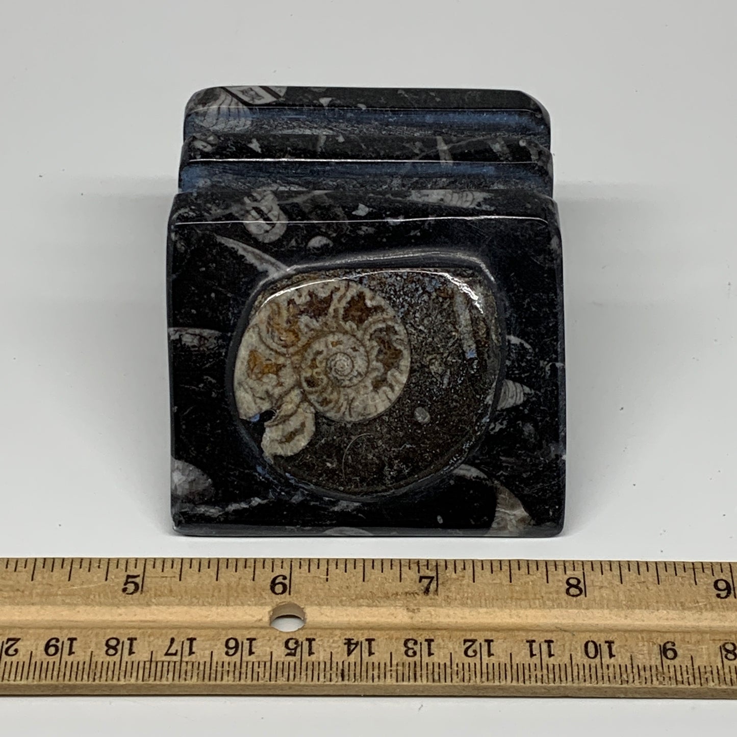 460g, 2.8" x 2.8" x 1.9" Black Fossils Orthoceras Ammonite Business Card Holder,