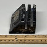 460g, 2.8" x 2.8" x 1.9" Black Fossils Orthoceras Ammonite Business Card Holder,
