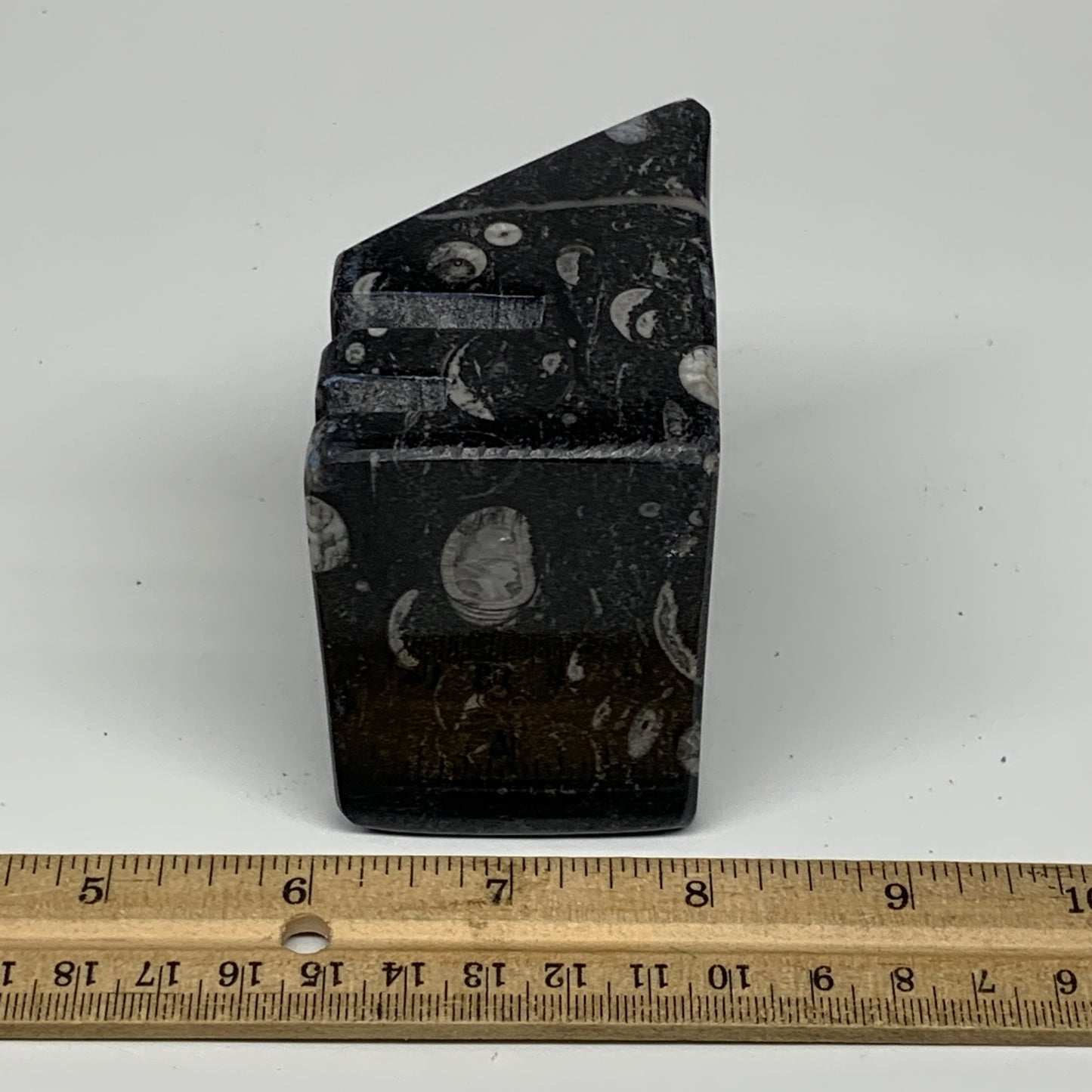 460g, 2.8" x 2.8" x 1.9" Black Fossils Orthoceras Ammonite Business Card Holder,