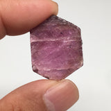 12.6g, 27mm x 21mm, Natural Ruby Crystal Slice Corundum Mineral Specimen, RC11