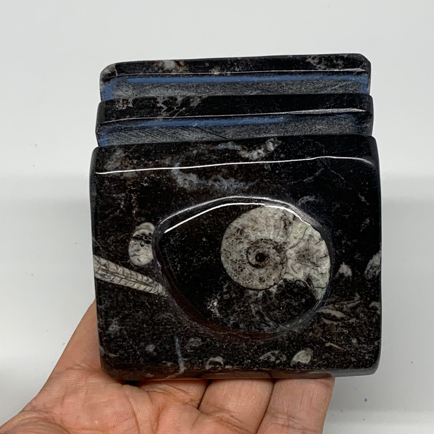 482g, 2.8" x 2.8" x 1.9" Black Fossils Orthoceras Ammonite Business Card Holder,