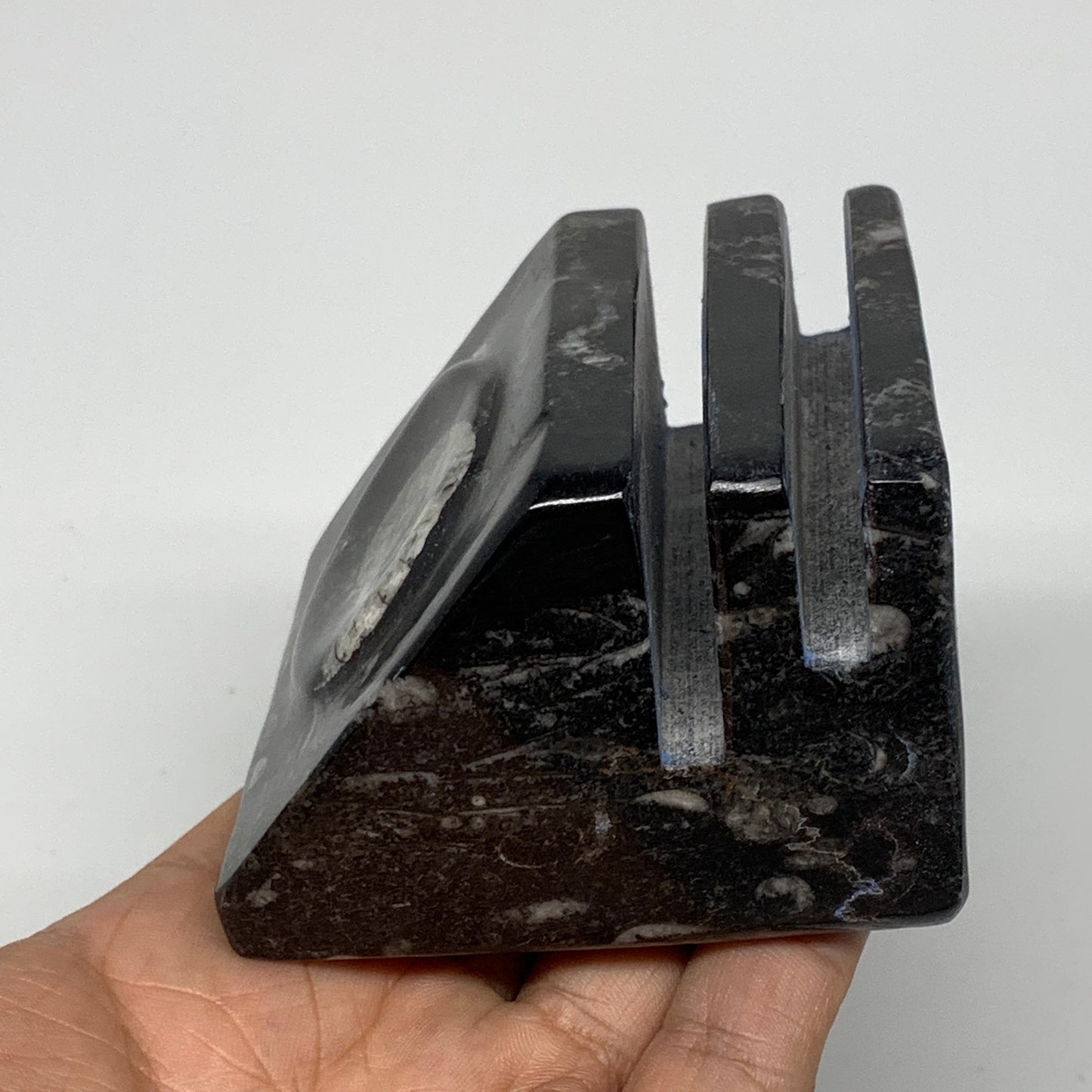 482g, 2.8" x 2.8" x 1.9" Black Fossils Orthoceras Ammonite Business Card Holder,