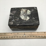 508g Rectangle Shape Orthoceras Fossil Ammonite Black Jewelry Box @Morocco, FJ75 - watangem.com