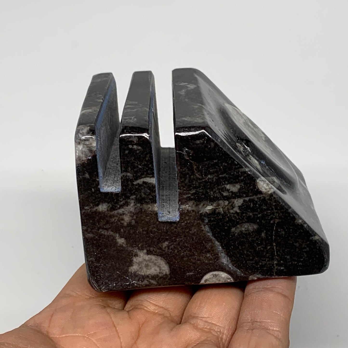 482g, 2.8" x 2.8" x 1.9" Black Fossils Orthoceras Ammonite Business Card Holder,