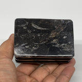 482g, 2.8" x 2.8" x 1.9" Black Fossils Orthoceras Ammonite Business Card Holder,